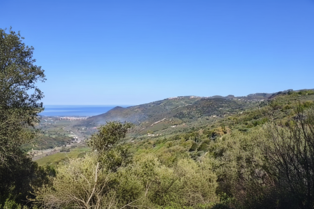 Tyrrhenian Sea View